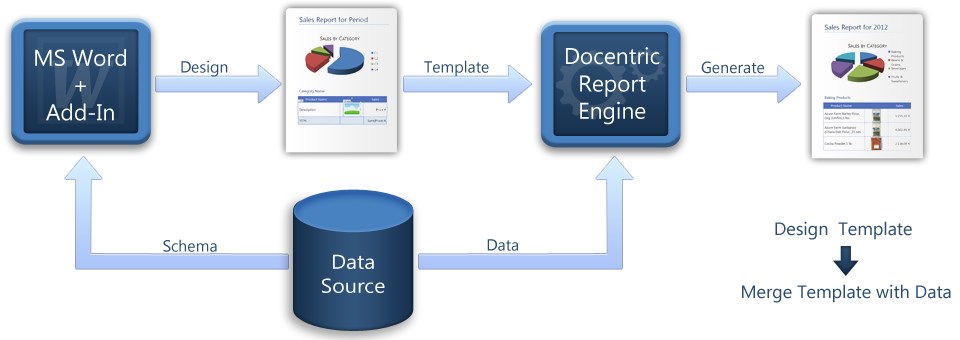 docentric diagram